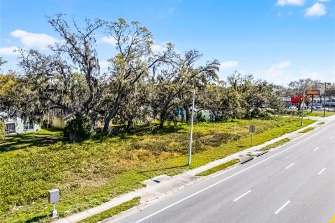 Terreno en venta en Orlando, Florida № 1569016 - foto 5