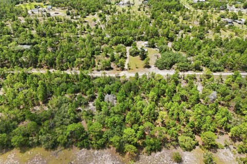 Terrain à vendre à Dunnellon, Floride № 2216066 - photo 3