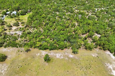 Terrain à vendre à Dunnellon, Floride № 2216066 - photo 6