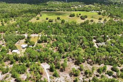 Terrain à vendre à Dunnellon, Floride № 2216066 - photo 13