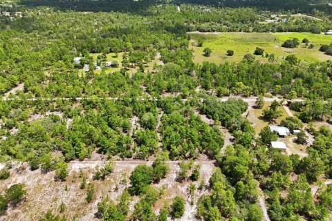 Terrain à vendre à Dunnellon, Floride № 2216066 - photo 12