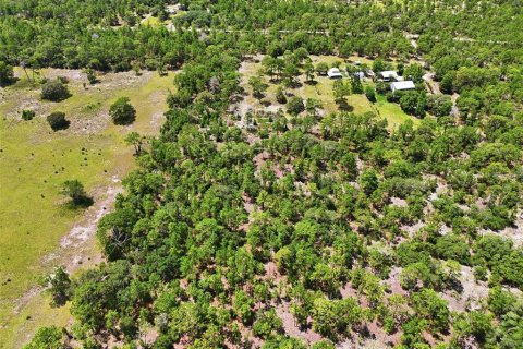 Terrain à vendre à Dunnellon, Floride № 2216066 - photo 7