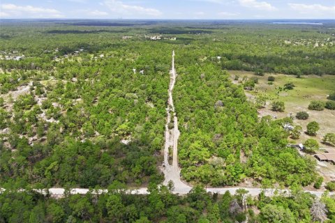 Terrain à vendre à Dunnellon, Floride № 2216066 - photo 4