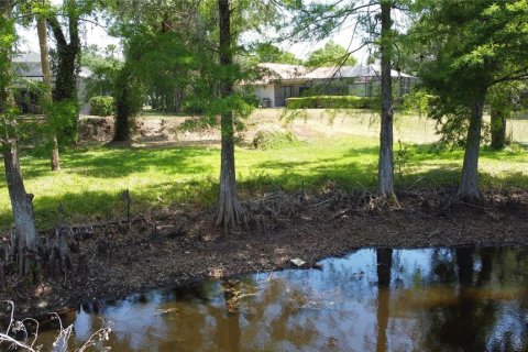 House in Tampa, Florida 4 bedrooms, 248.98 sq.m. № 1608962 - photo 10