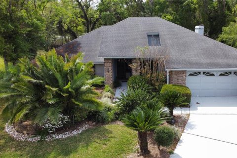 House in Tampa, Florida 4 bedrooms, 248.98 sq.m. № 1608962 - photo 1