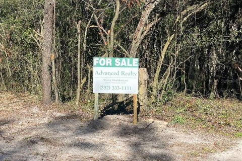 Land in High Springs, Florida № 1563760 - photo 1