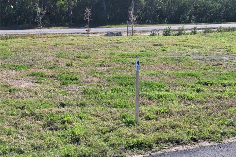 Land in New Port Richey, Florida № 1580508 - photo 2