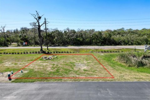 Land in New Port Richey, Florida № 1580508 - photo 7