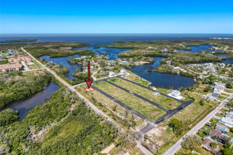 Land in New Port Richey, Florida № 1580508 - photo 5