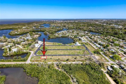 Land in New Port Richey, Florida № 1580508 - photo 6
