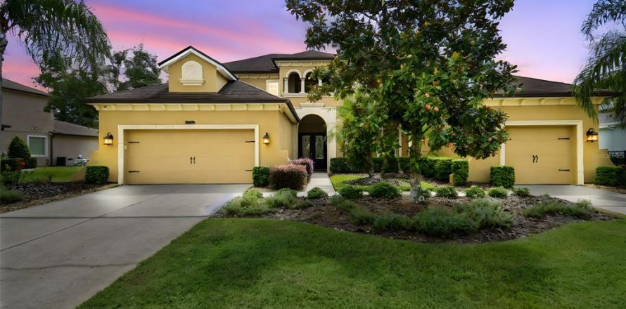 House in Wesley Chapel, Florida 4 bedrooms, 367.71 sq.m. № 1903028