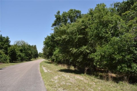 Land in Melrose, Florida № 1740313 - photo 8