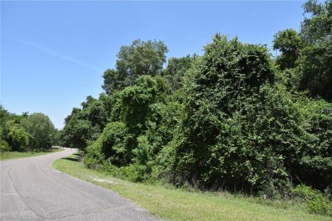Land in Melrose, Florida № 1740313 - photo 18