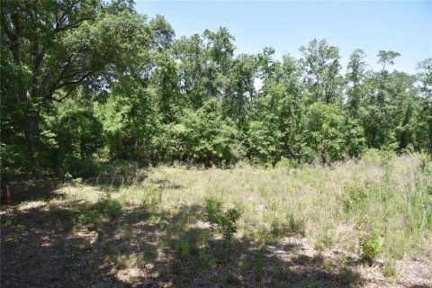 Land in Melrose, Florida № 1740313 - photo 4