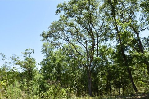 Land in Melrose, Florida № 1740313 - photo 1