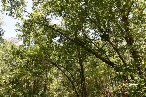 Land in Melrose, Florida № 1740313 - photo 11