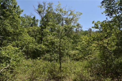 Land in Melrose, Florida № 1740313 - photo 13
