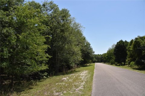 Land in Melrose, Florida № 1740313 - photo 7