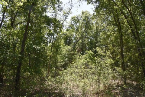 Land in Melrose, Florida № 1740313 - photo 25