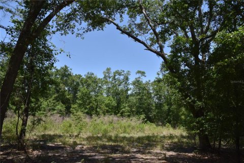 Land in Melrose, Florida № 1740313 - photo 3