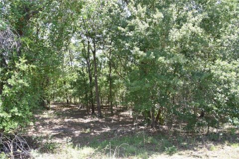 Land in Melrose, Florida № 1740313 - photo 23