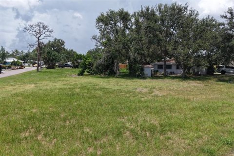 Land in Nokomis, Florida № 1845254 - photo 2