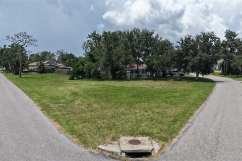 Land in Nokomis, Florida № 1845254 - photo 12