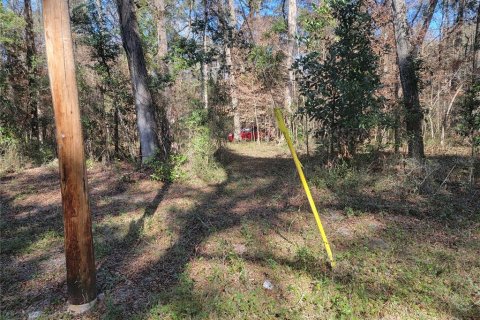 Terreno en venta en Fort White, Florida № 1532078 - foto 6