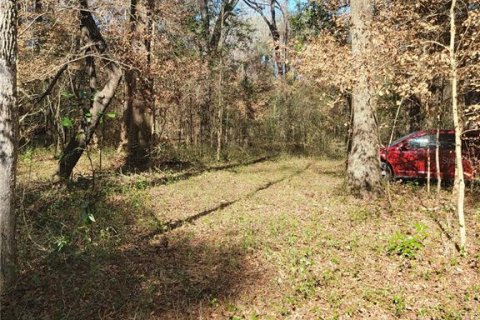 Terreno en venta en Fort White, Florida № 1532078 - foto 8