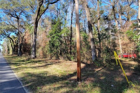 Terreno en venta en Fort White, Florida № 1532078 - foto 1