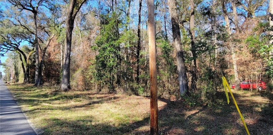Terreno en Fort White, Florida № 1532078