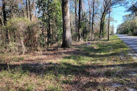 Terreno en venta en Fort White, Florida № 1532078 - foto 9