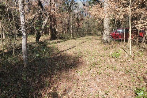 Terreno en venta en Fort White, Florida № 1532078 - foto 7