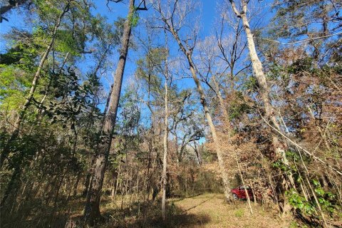 Terreno en venta en Fort White, Florida № 1532078 - foto 10
