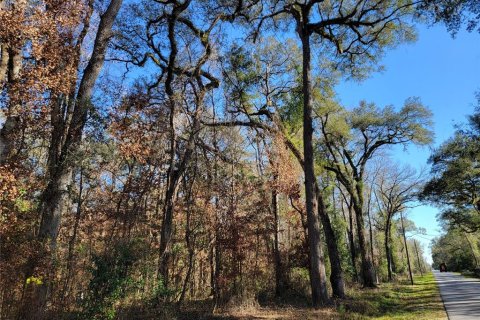 Terreno en venta en Fort White, Florida № 1532078 - foto 4