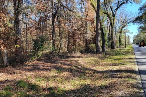 Terreno en venta en Fort White, Florida № 1532078 - foto 3