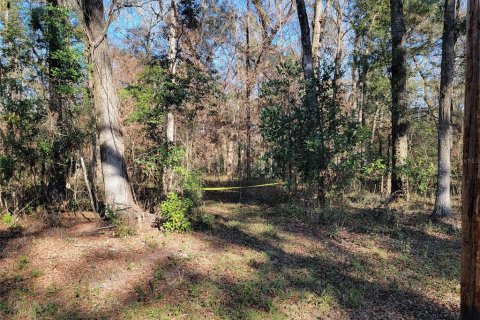 Terreno en venta en Fort White, Florida № 1532078 - foto 5