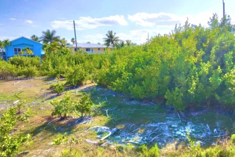 Land in Marathon, Florida № 1865026 - photo 3