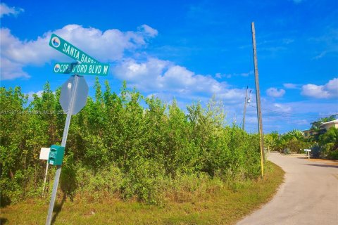 Land in Marathon, Florida № 1865026 - photo 4