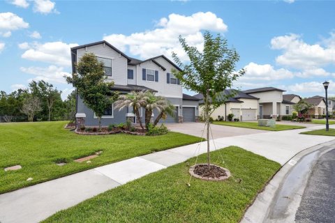 Casa en alquiler en Wesley Chapel, Florida, 5 dormitorios, 275.36 m2 № 2115862 - foto 5
