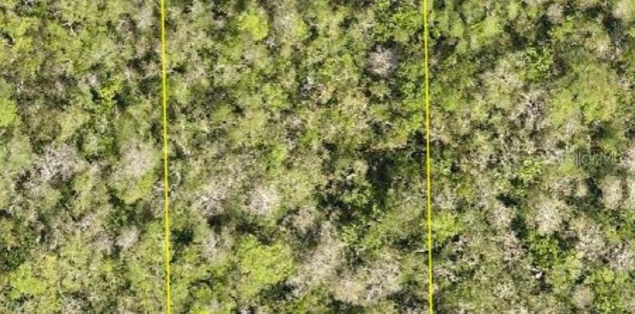 Land in DeLand, Florida № 2195737