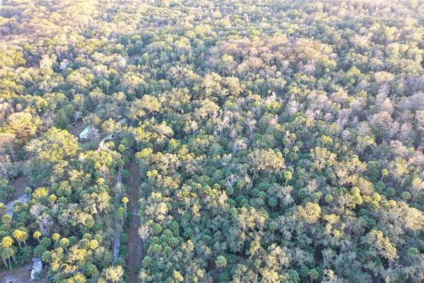 Land in Inverness, Florida № 2160090 - photo 21
