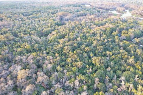 Land in Inverness, Florida № 2160090 - photo 19