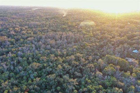 Land in Inverness, Florida № 2160090 - photo 8