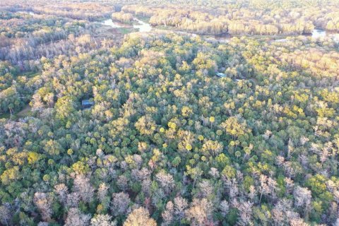 Land in Inverness, Florida № 2160090 - photo 6