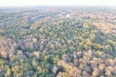 Land in Inverness, Florida № 2160090 - photo 16