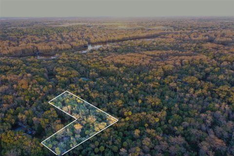 Land in Inverness, Florida № 2160090 - photo 24