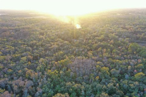 Land in Inverness, Florida № 2160090 - photo 11