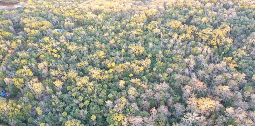 Land in Inverness, Florida № 2160090