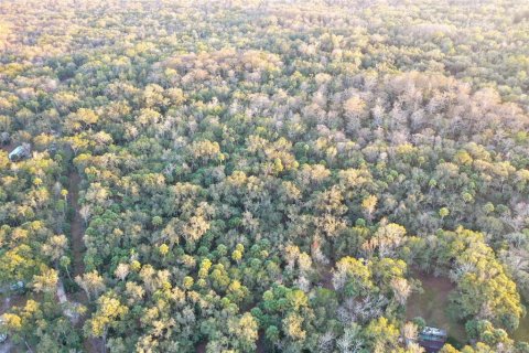 Land in Inverness, Florida № 2160090 - photo 10